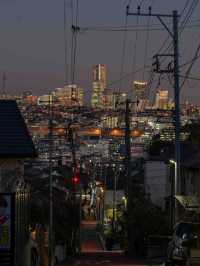 上星川スナップ 📷🏙️ 穴場のフォトジェニックスポット