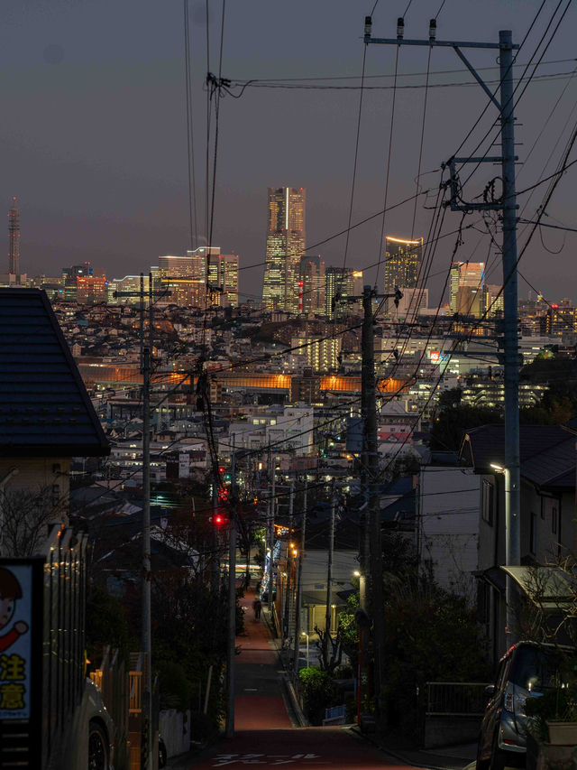 上星川スナップ 📷🏙️ 穴場のフォトジェニックスポット