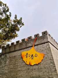 Zicheng Ruins Park: A Blend of History and Serenity