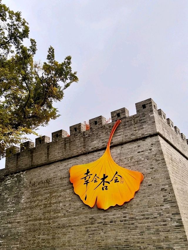 Zicheng Ruins Park: A Blend of History and Serenity