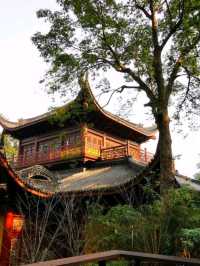 A Tranquil Escape: Exploring the Ling Yin Temple in Hangzhou