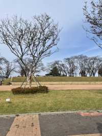 🏰 부여와 익산에서 떠나는 시간 여행, 백제역사유적지! ⏳✨