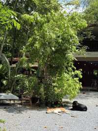 หลบเริน คาเฟ่ โฮมคาเฟ่น่ารักมาก ที่พัทลุง