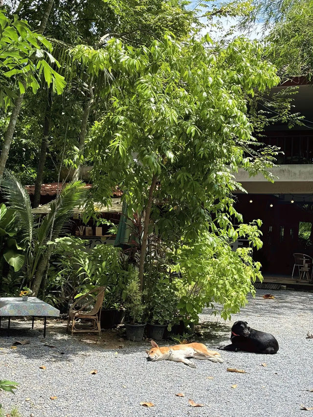 หลบเริน คาเฟ่ โฮมคาเฟ่น่ารักมาก ที่พัทลุง