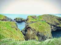Step Into Spring at Carrick-a-Rede, Belfast