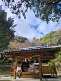 【山口グルメ】和カフェ大貫・山口の桜