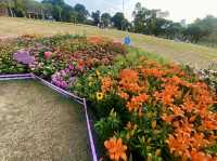 ✨探索城市中的美麗繽紛世界✨中山公園 