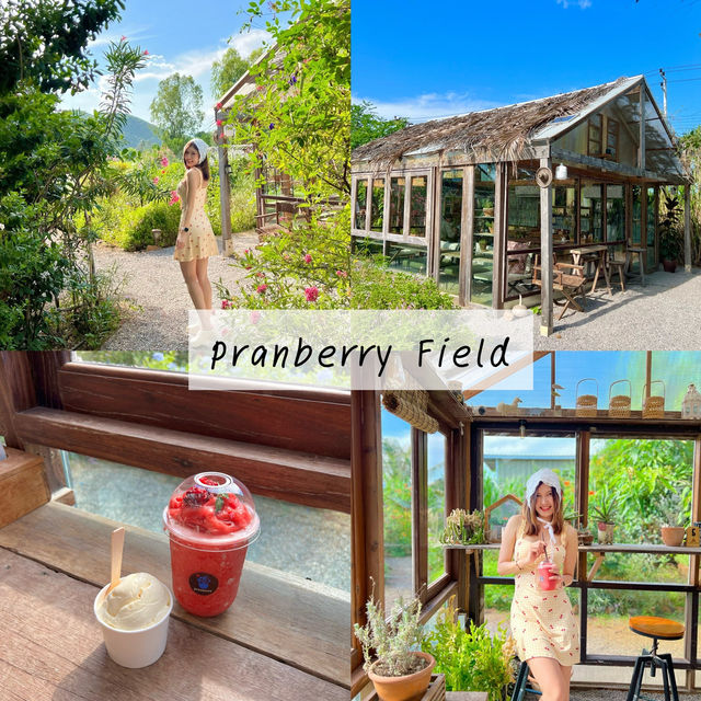 แจกแพลนเที่ยวหัวหิน-ปราณบุรี 2 วัน 1 คืน