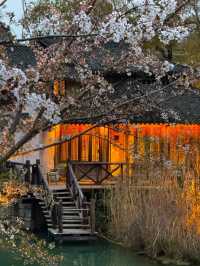 Puyuan Fashion Ancient Town Nightscape– Where Heritage Meets Contemporary Glamour
