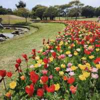 海之中道鬱金香節 – Uminonakamichi Tulip Festival