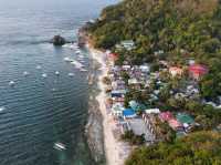 Apo Island Marine Sanctuary 