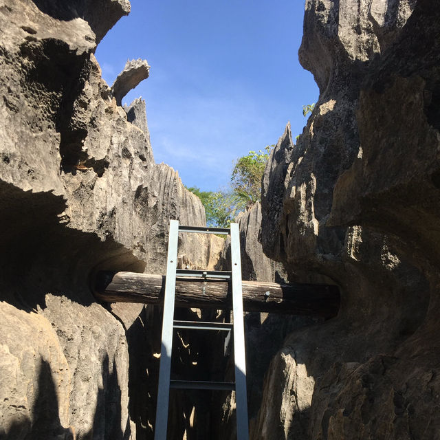 走進另一個世界｜Tsingy De Bemaraha National Park