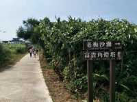 #老梅綠石槽-新北市石門區