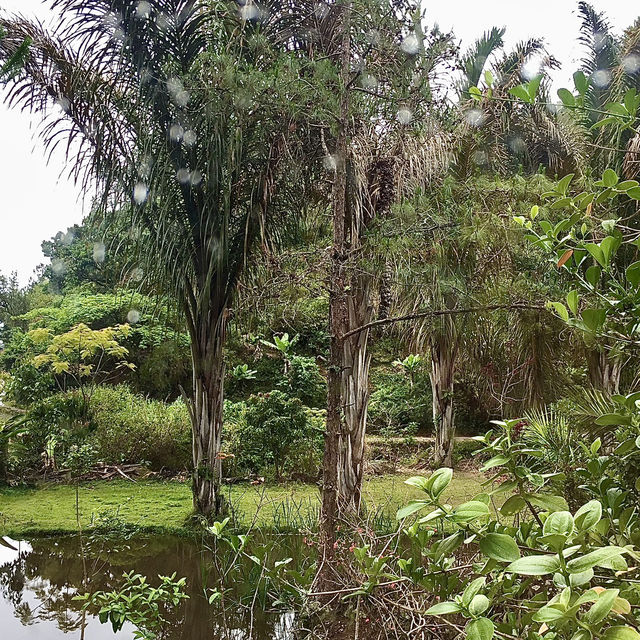 Réserve Peyrieras Madagascar Exotic｜近距離認識馬達加斯加生物
