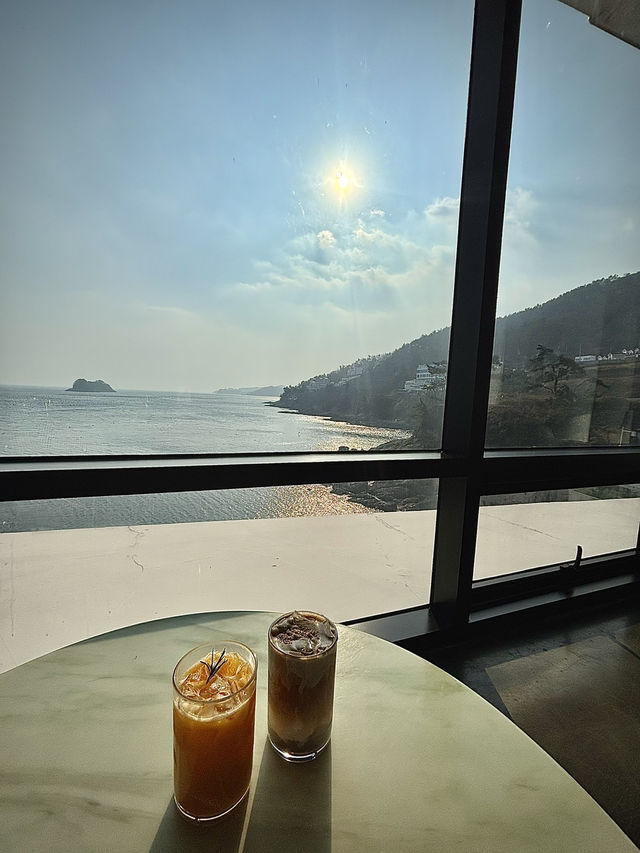 바다를 품은 감성카페, 여수 라피끄에서의 여유로운 하루 🌴