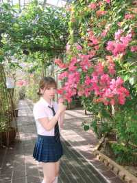 超值的名古屋市東山動植物園