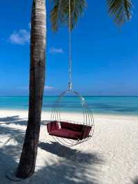 Waves of Joy: Feeling Alive in the Maldives