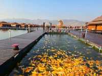 อนันตรา กาญจนบุรี (Ananta River Hills Resort) 