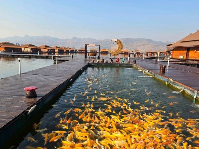 อนันตรา กาญจนบุรี (Ananta River Hills Resort) 