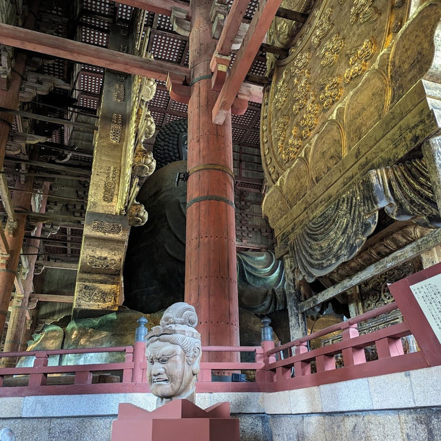 奈良公園（奈良県）