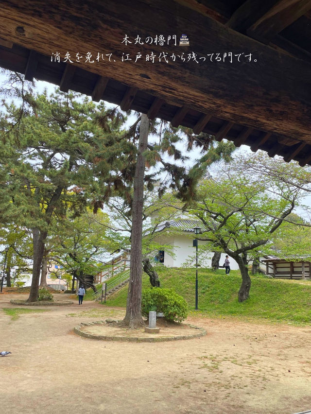 江戸時代から残る櫓門など、歴史感じる土浦城🏯