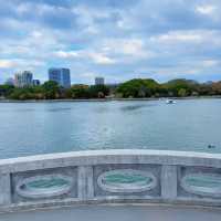 赤塚公園｜城市綠洲之美