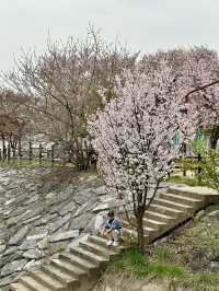 Perfect Spot for a Peaceful Walk or Rest within the City.