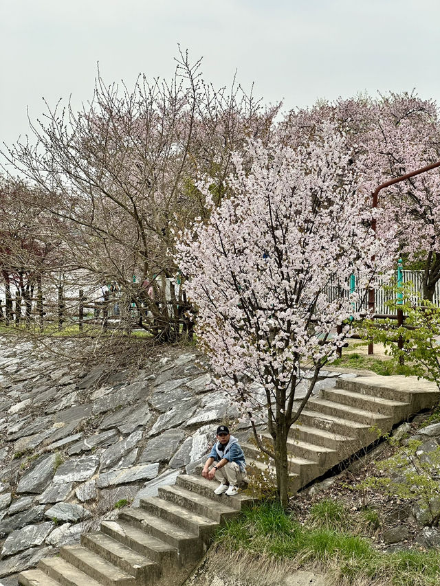 Perfect Spot for a Peaceful Walk or Rest within the City.