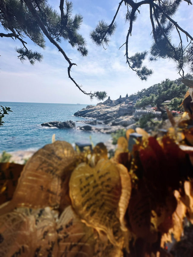 Spring Magic at Korea’s Most Beautiful Seaside Temple 