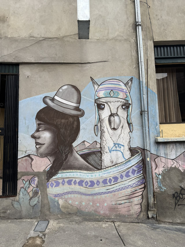 玻利維亞Witches Market 女巫市場