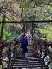 【日本三大秘境】祖谷のかずら橋