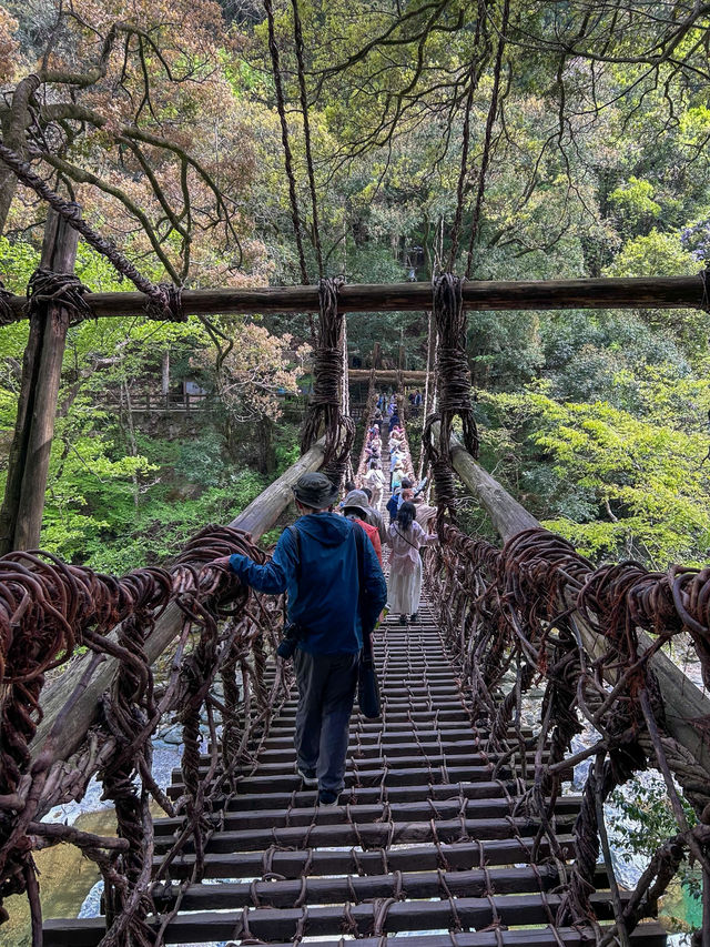 【日本三大秘境】祖谷のかずら橋