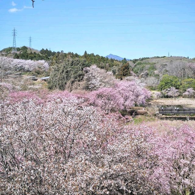 Hitachi Fudoki-no-Oka, Ibaraki