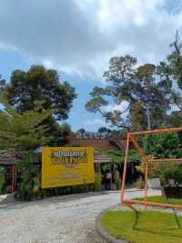 2 acres cafe