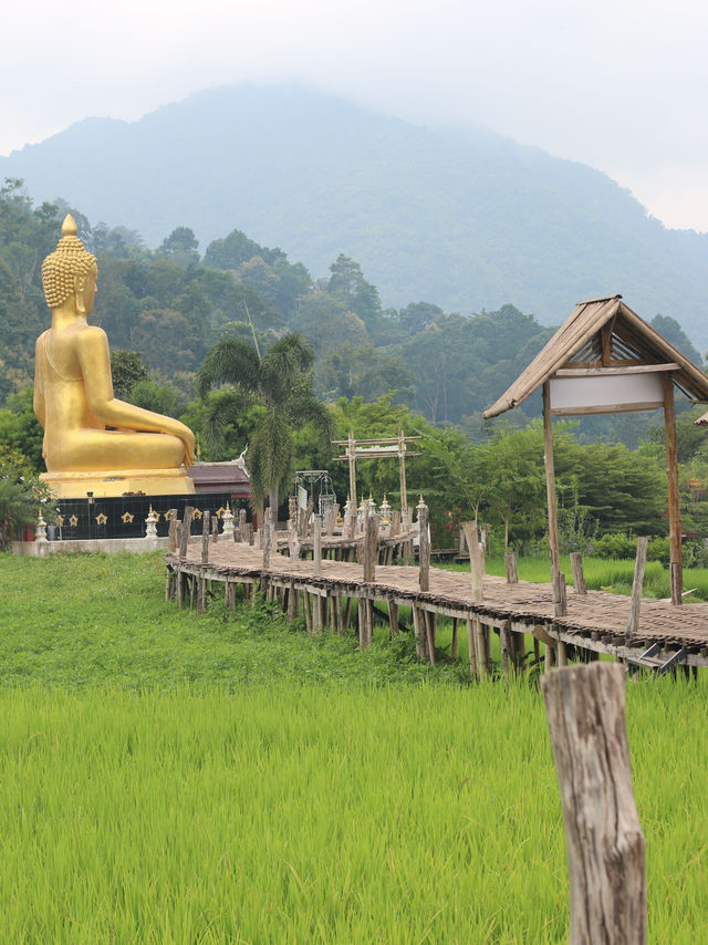 วัดนาคูหา