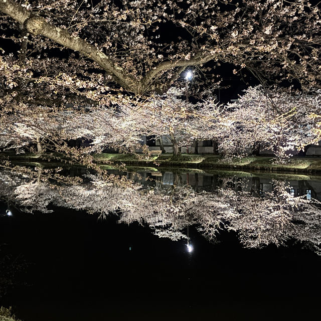 走吧！赴一場粉色之約🌸
