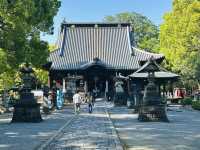 【 春の栃木② 】 あしかがフラワーパークと訪れたい近隣スポット🚶‍♀️