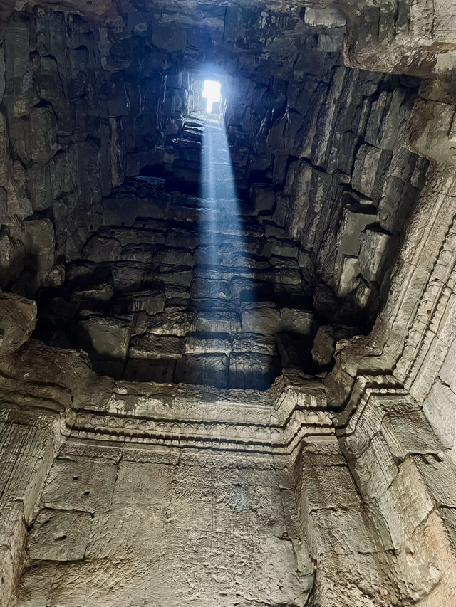 🇰🇭 Ta Prohm: The Angelina Jolie Temple