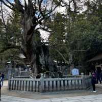 🇯🇵【愛媛】パワースポット！今治大島！大山祇神社(^^)