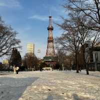 札幌旅行✈️札幌駅徒歩圏内の観光地紹介✨