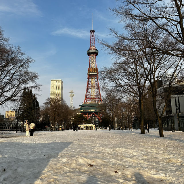 札幌旅行✈️札幌駅徒歩圏内の観光地紹介✨