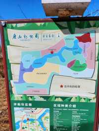 免門票看熊貓就在唐山動物園！！