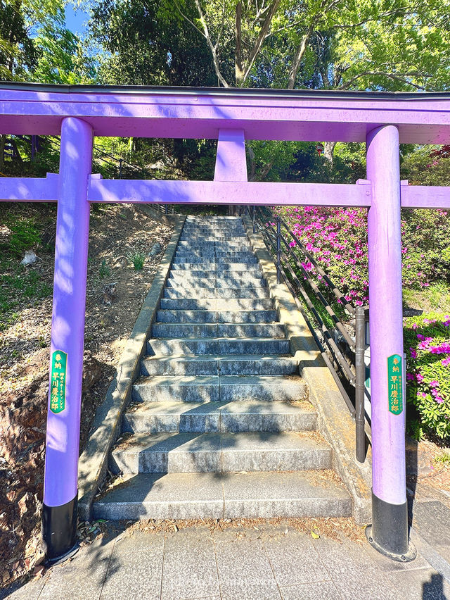 GWここにいこう！神社めぐり【栃木】