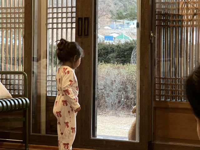 🌿 “오후 다섯시, 시간도 마음도 잠시 멈추는 곳”