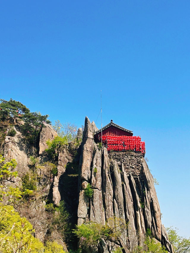 날씨가 좋은 날에 가기 좋은 등산코스🌳
