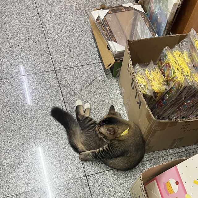 ไหว้พระวัดดังปีนัง วัดเขาเต่า