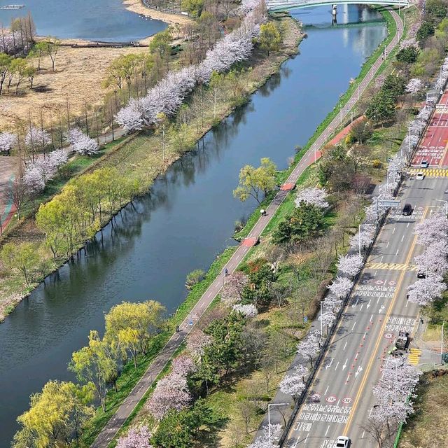Ansan Lake Park (Ansan)