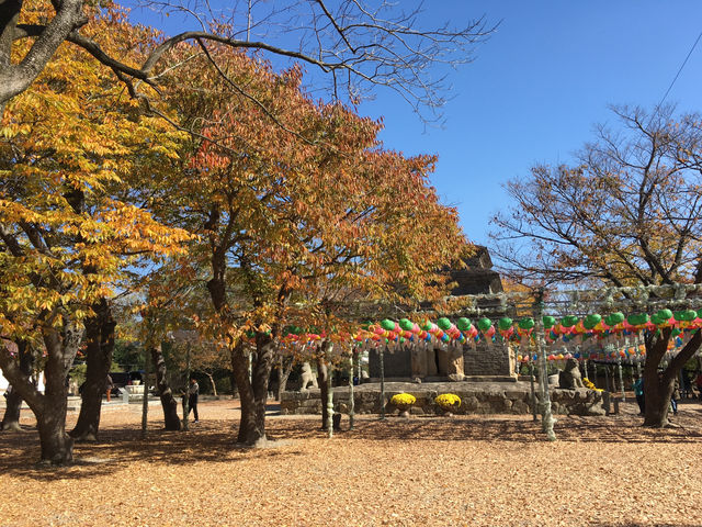 경주 근교 맛집투어 추천 🌿 함양집 & 슈만과 클라라
