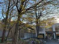 “Whispers of Spring: Sakura Reflections at Hokkaido University” 