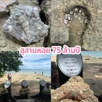 สุสานหอย 75 ล้านปี 